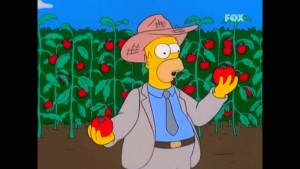 trabajos que ha tenido homero simpsons, empleos de homer, los simpsons, múltiples trabajos, cambio de carrera , conseguir empleo, empleos como homero